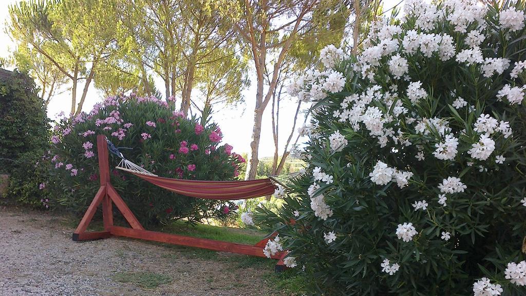 Agriturismo Podere Mulinaccio Ribolla Exterior photo